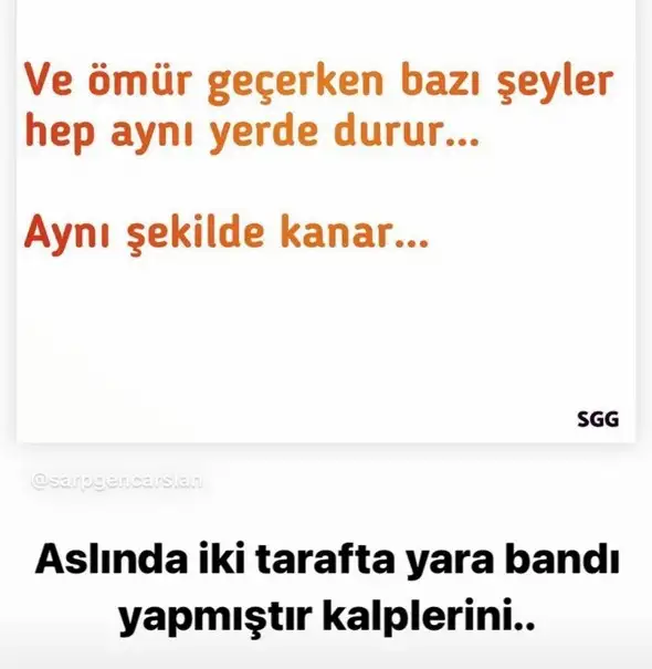 sat balık1 (10).webp