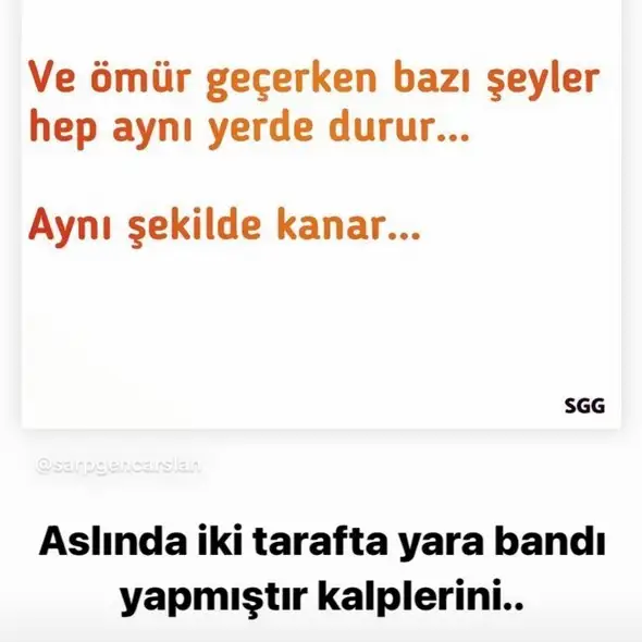 sat balık1 (12).webp