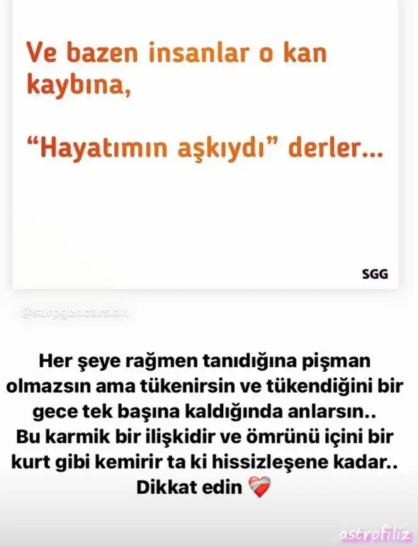sat balık1 (13).webp