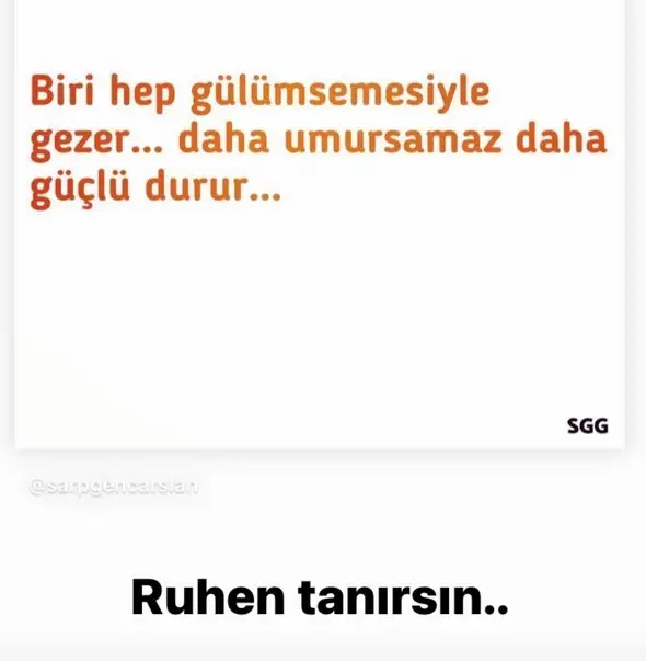 sat balık1 (4).webp