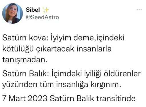 sat balık1.webp