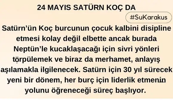 sat koç.webp