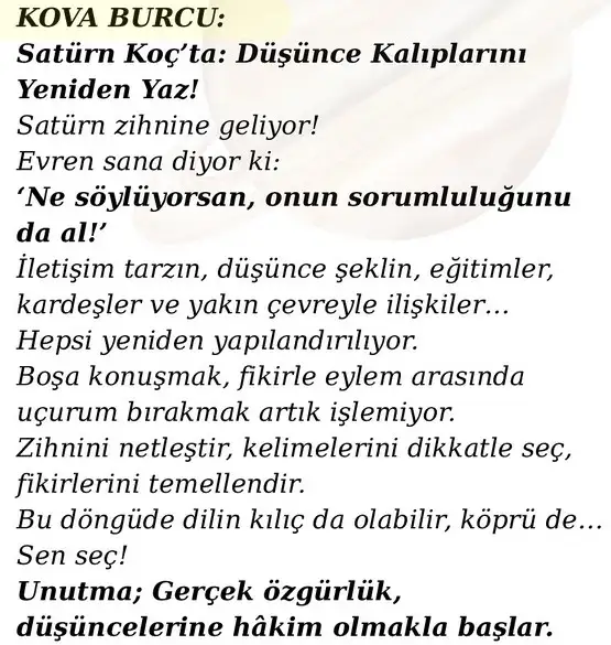 sat koç34 (13).webp
