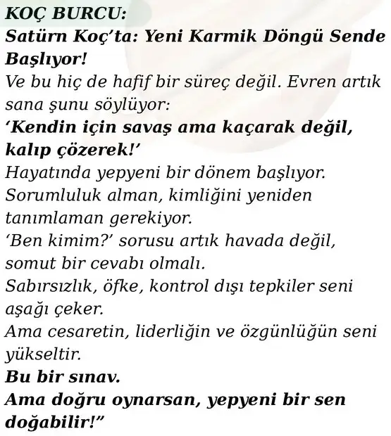 sat koç34 (2).webp