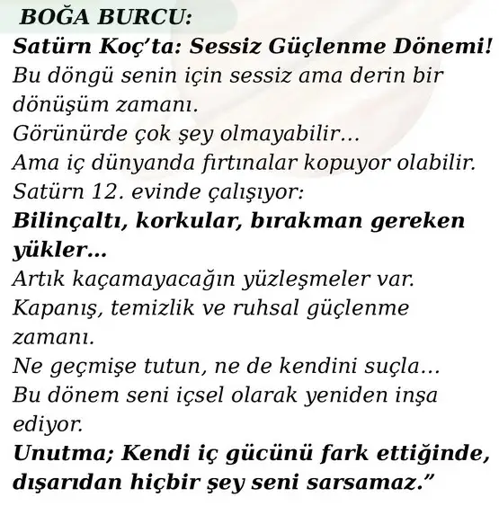 sat koç34 (3).webp
