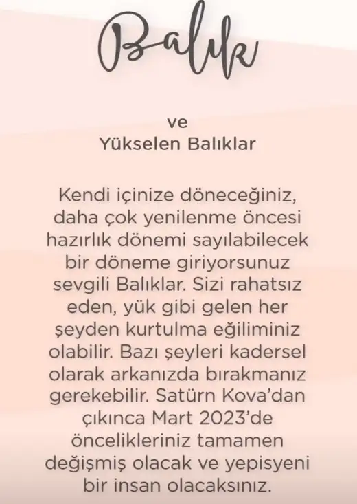 sat kova (3).webp