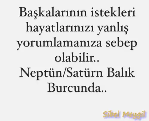 sat nep balık (2).webp