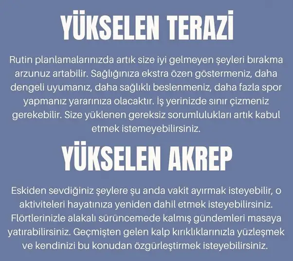 sat ret3 (5).webp