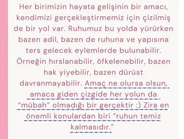 sat ret30 (4).webp