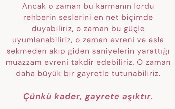sat ret30 (9).webp