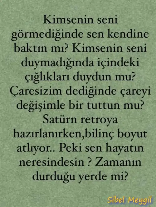 sat.webp