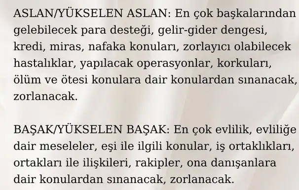 sat14 (4).webp