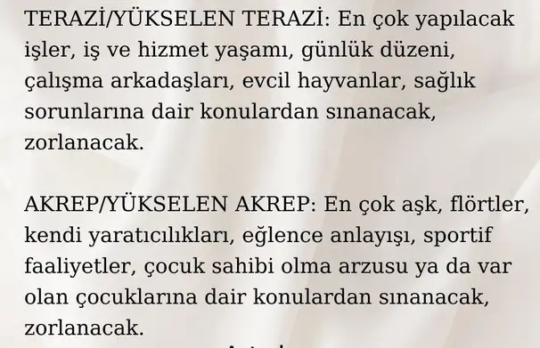 sat14 (5).webp
