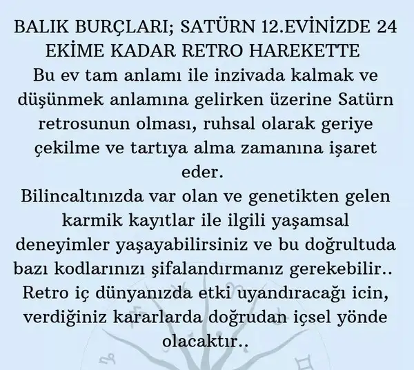 sat2 (14).webp