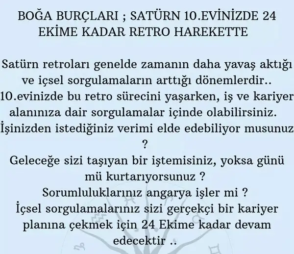 sat2 (4).webp