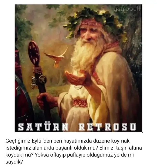 sat20 (1).webp