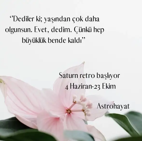 sat23 (1).webp