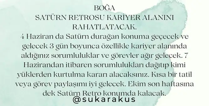 sat27 (3).webp