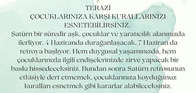 sat27 (8).webp