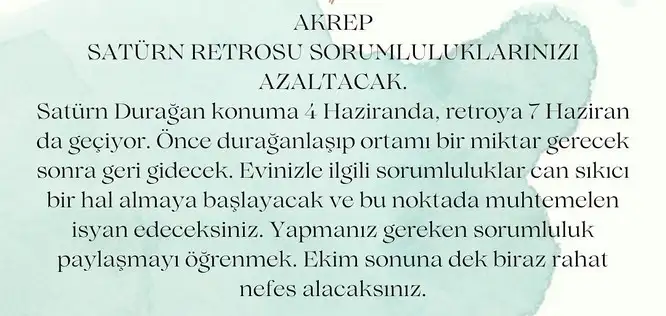 sat27 (9).webp