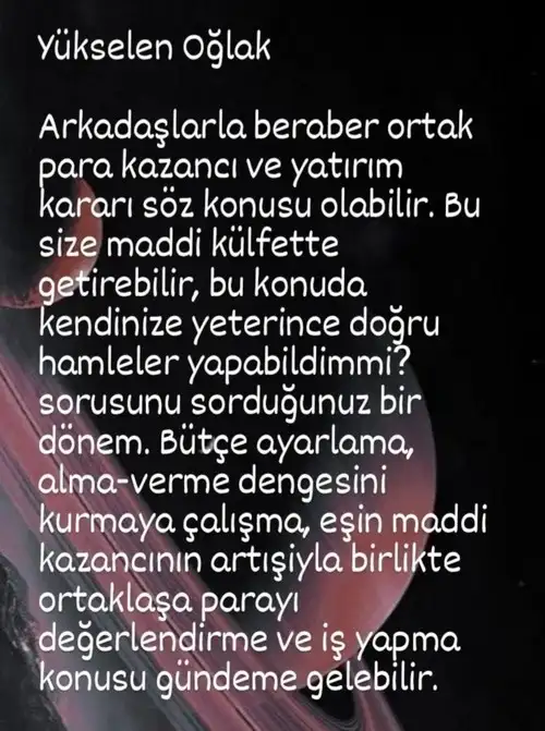 sat29 (11).webp