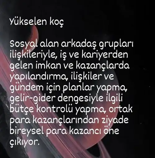 sat29 (2).webp