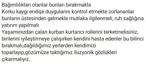 sat29 (3) - Kopya.webp