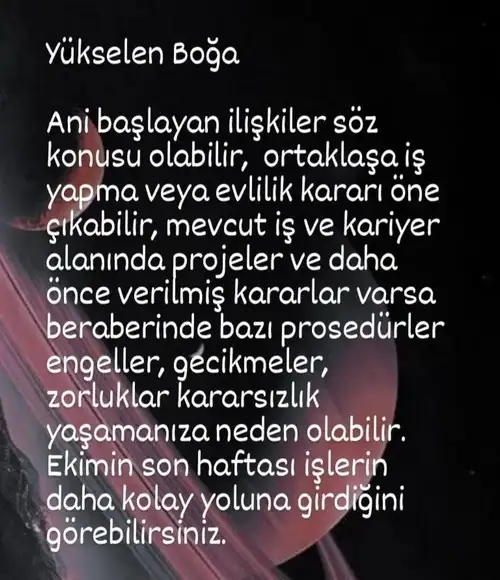 sat29 (3).webp