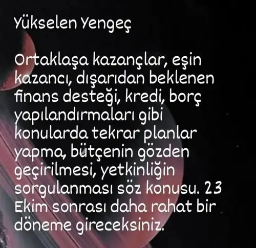 sat29 (5).webp