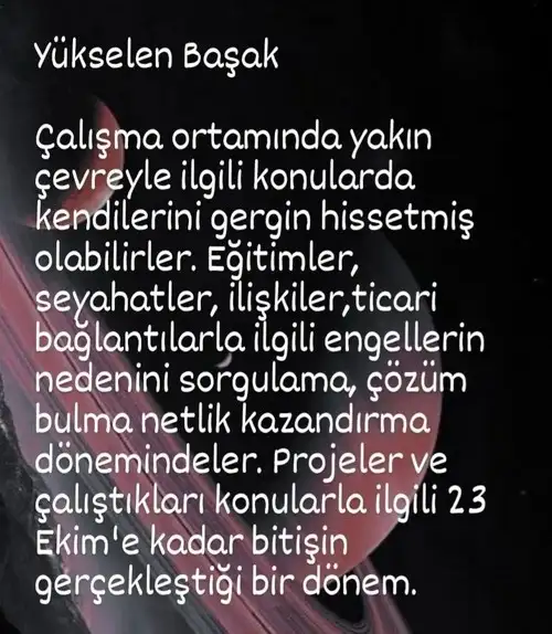 sat29 (7).webp