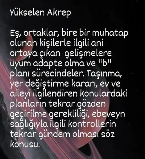 sat29 (9).webp