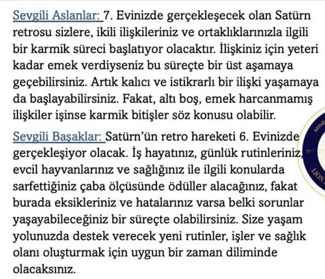 sat31 (4).webp