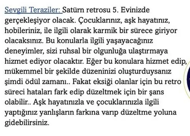 sat31 (5).webp