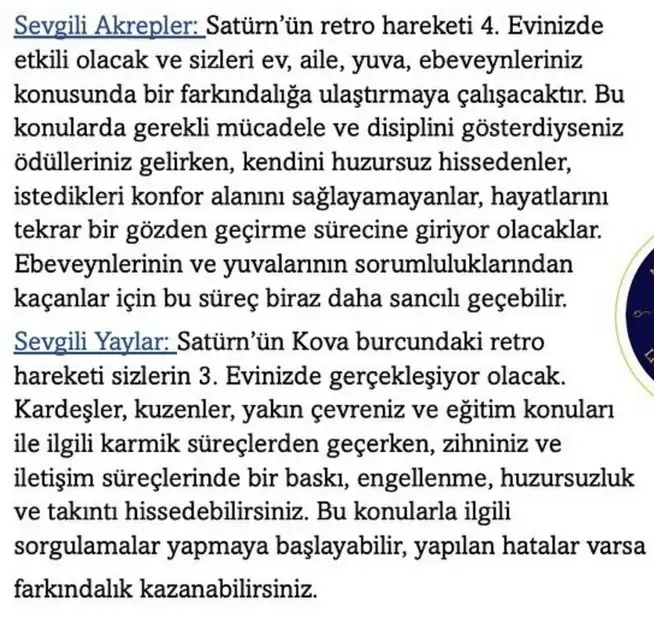 sat31 (6).webp