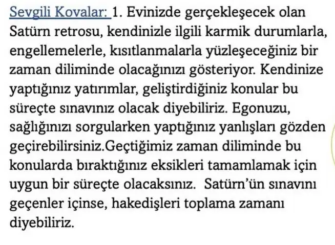 sat31 (8).webp