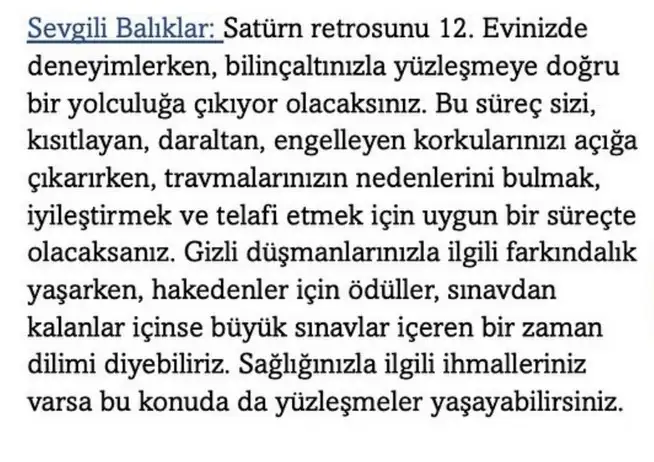 sat31 (9).webp