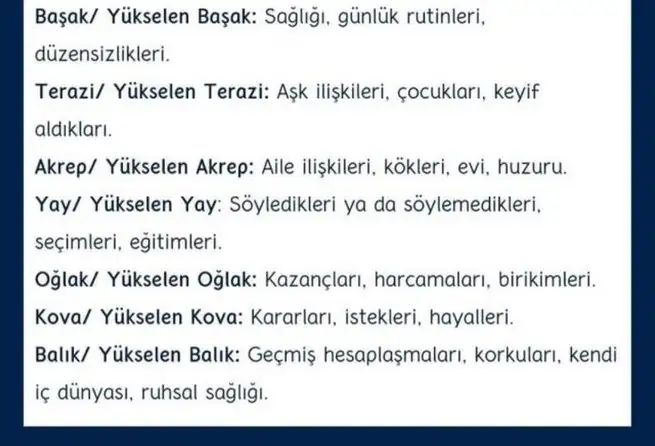 sat33 (2).webp