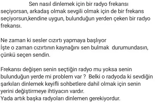 sat33 (2).webp