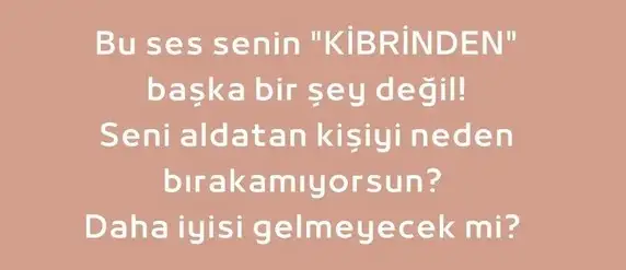 sat4 (2).webp
