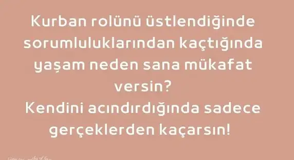 sat4 (3).webp