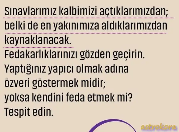 sat5 (2).webp