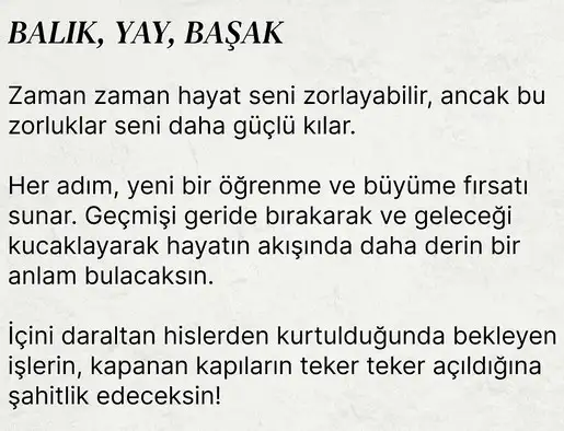 sat5 (3).webp