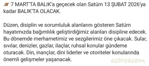 satball.webp