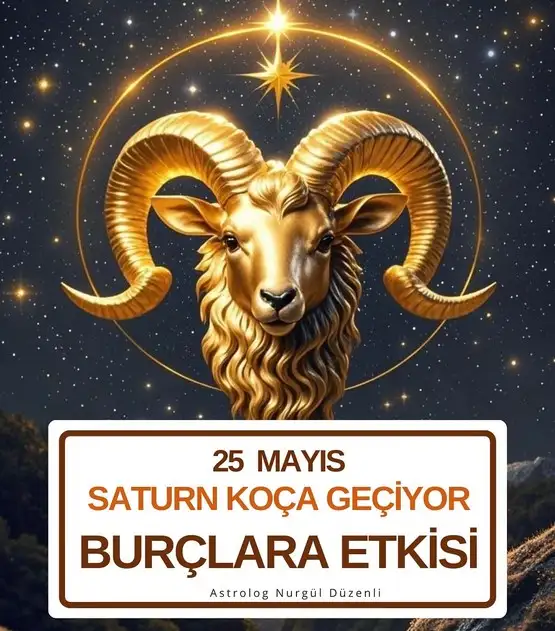 satkoç nurgul.webp