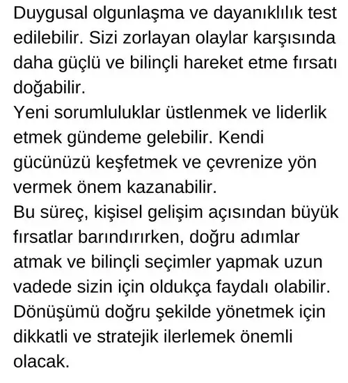 satkoç11 (3).webp