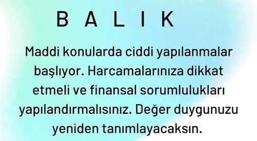 satkoç13 (13).webp