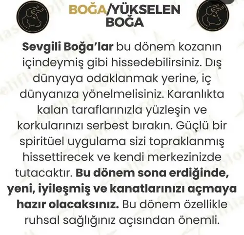satkoç13 (3).webp