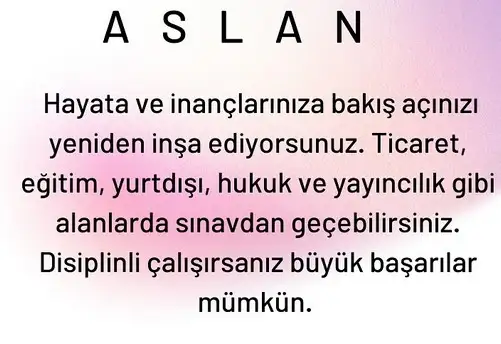 satkoç13 (6).webp