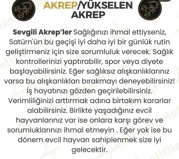satkoç13 (9).webp