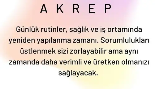 satkoç13 (9).webp